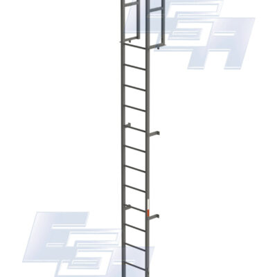 Cage Ladder 